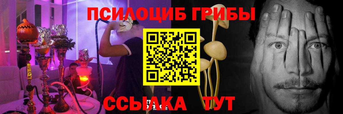 Псилоцибиновые грибы GOLDEN TEACHER  Псилоцибиновые грибы мухоморы  Пугачёв  Вход с VPN 