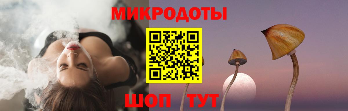 Галлюциногенные грибы Cubensis Пугачёв